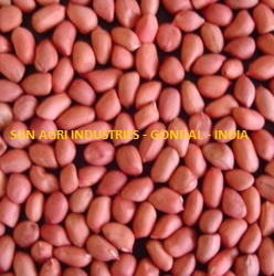 11-Groundnut-Seed