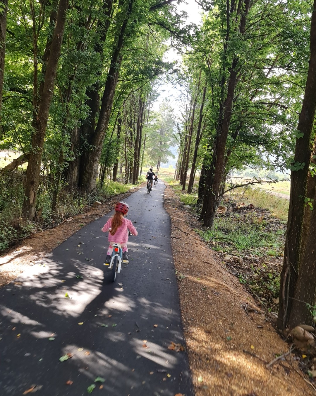 649846471_1539378788191366_2116045289483339267_n