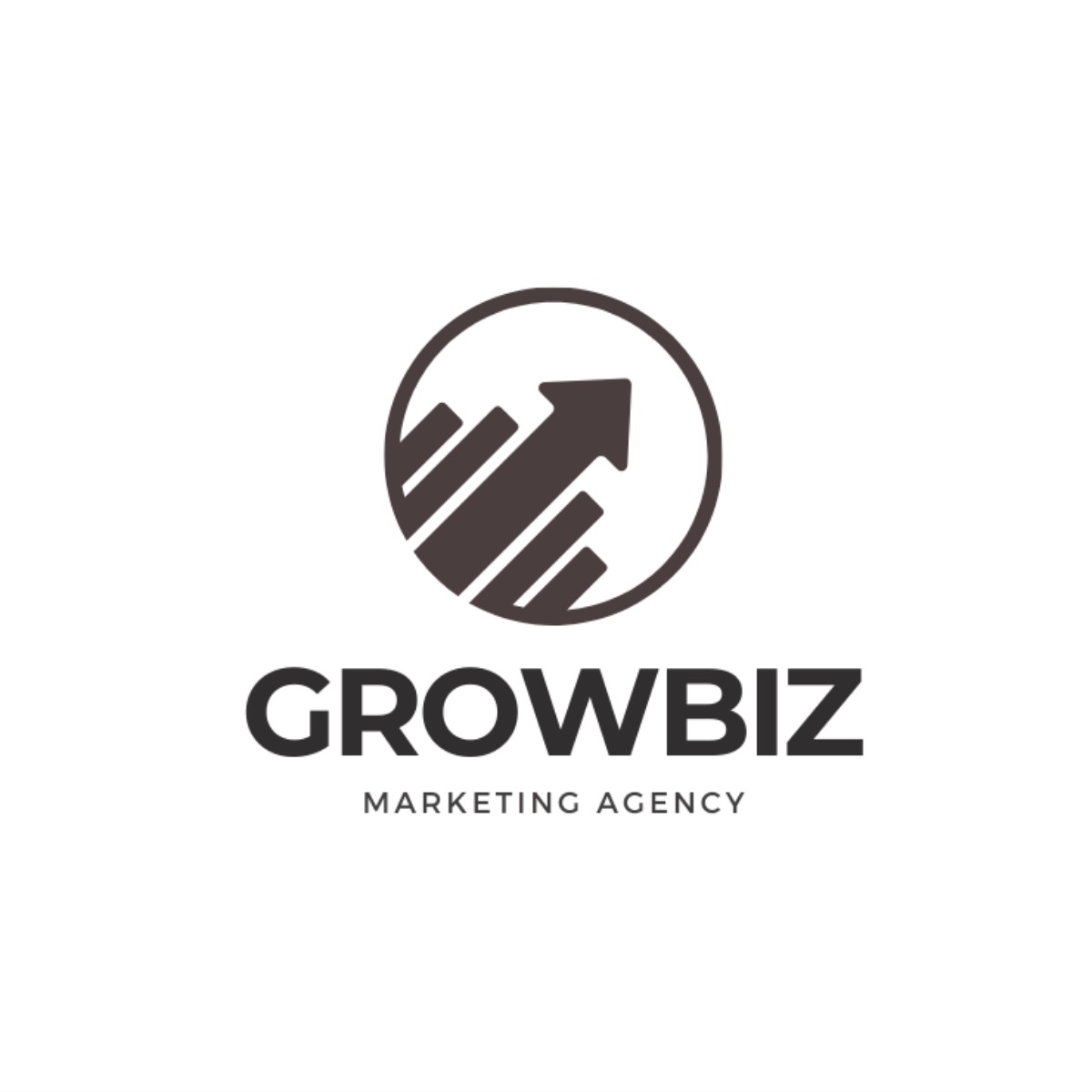The Grow Biz – Digital Marketing Agency in India