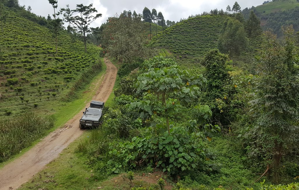 driving-to-bwindi-forest