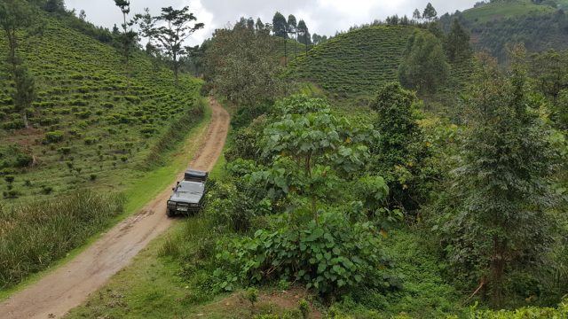 driving-to-bwindi-forest