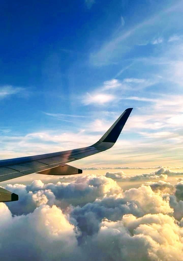 fly-high