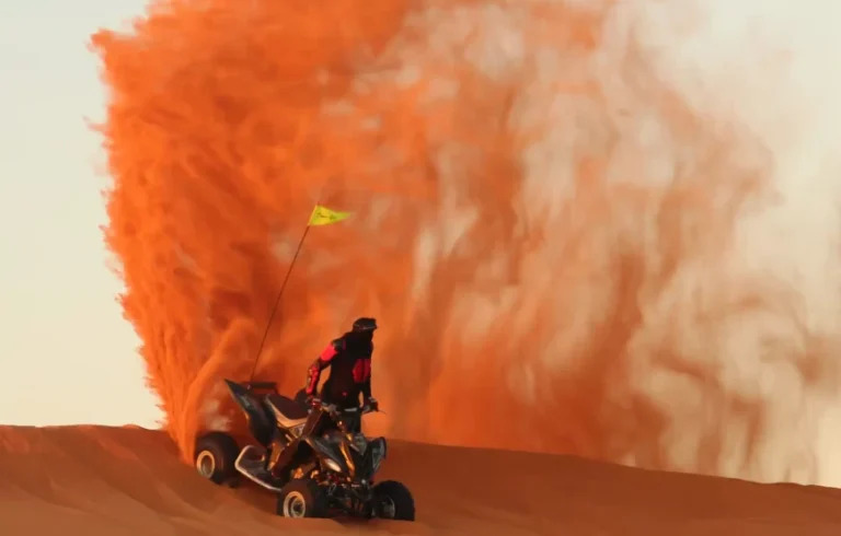 gallerys3-768×490-2