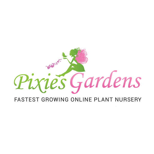 pixis-logo-1