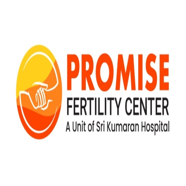 promiselogo-1-1