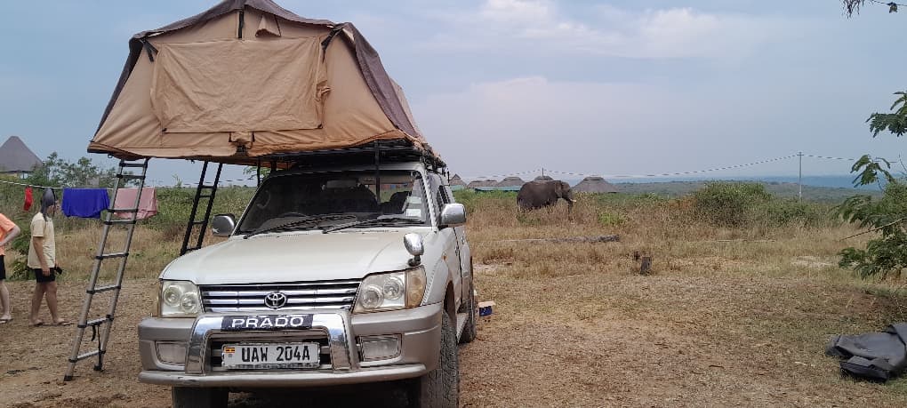 rooftop-tent-land-cruiser-safari