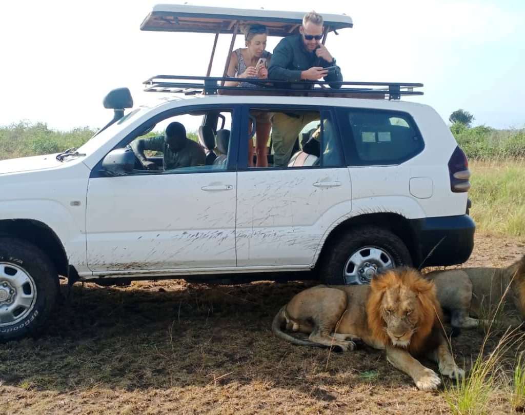 safari-driver-allan-in-field