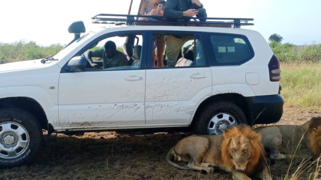 safari-driver-allan-in-field