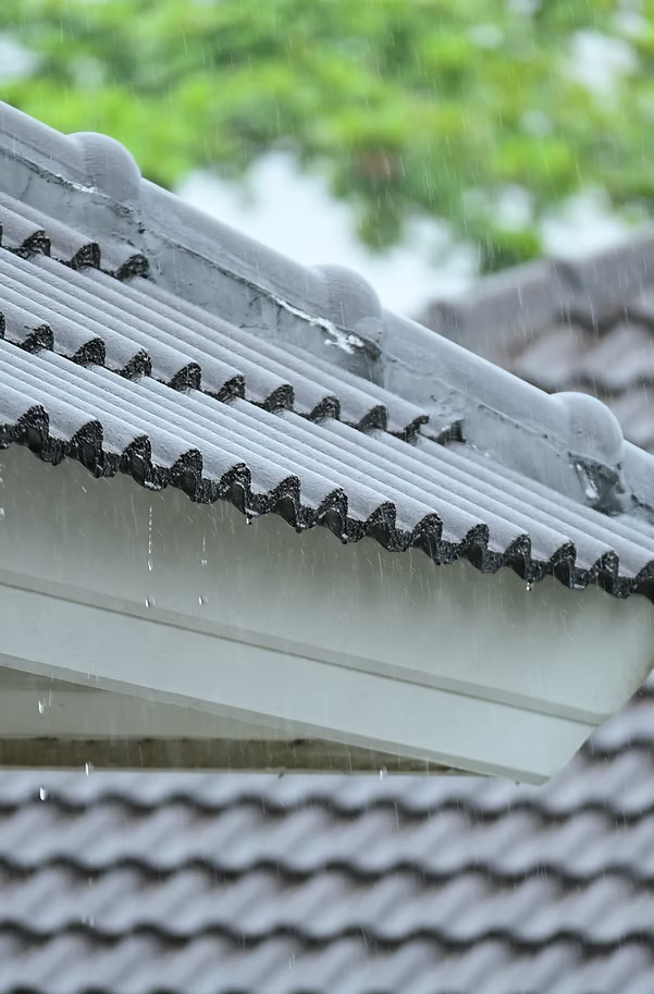 33e2b7_cbbec10c77d34509937a24997c809a13mv2