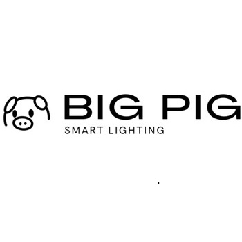 BigPig-Logo