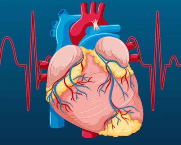 Cardiac-Electrophysiologist-in-chennai