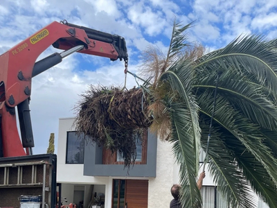 Cost-of-crane-truck-hire-Victoria