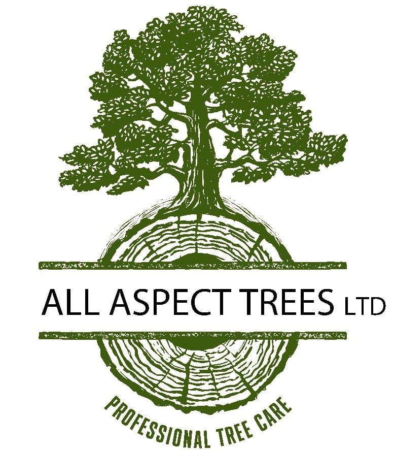 Logo_All_Aspect_Trees_Ltd