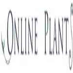 Screenshot-2026-04-01-123235