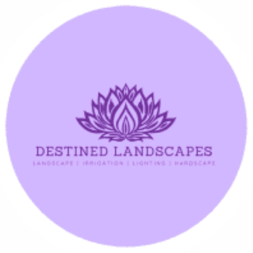 Untitled-design-1-1