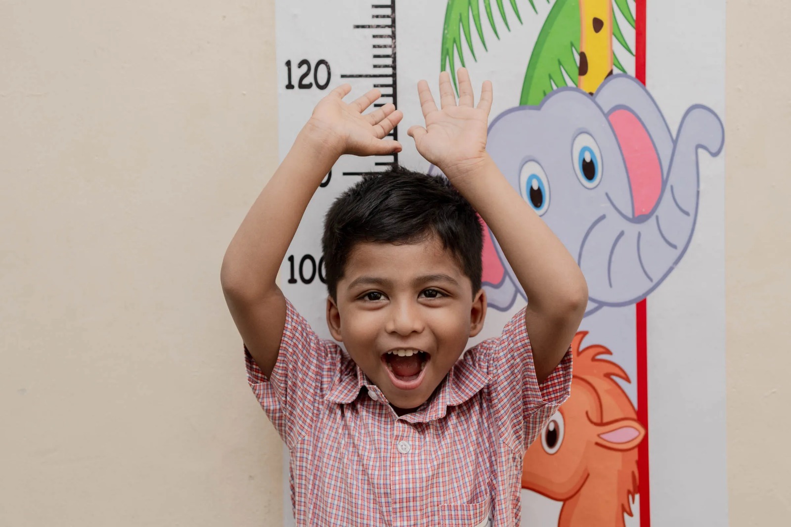 WhatsApp-Image-2026-02-12-at-1.09.04-PM-1