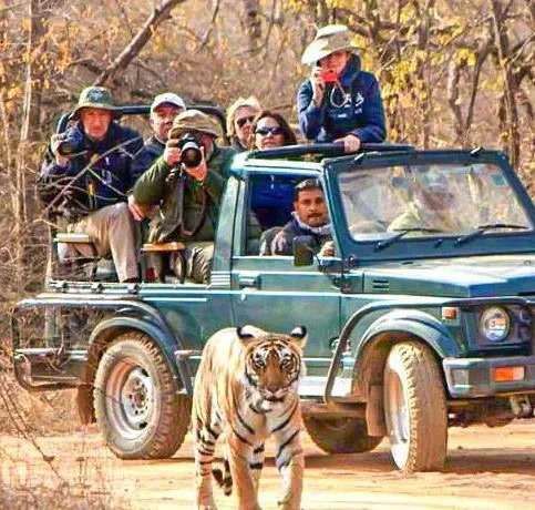bijrani-jeep-safari-zone_11zon