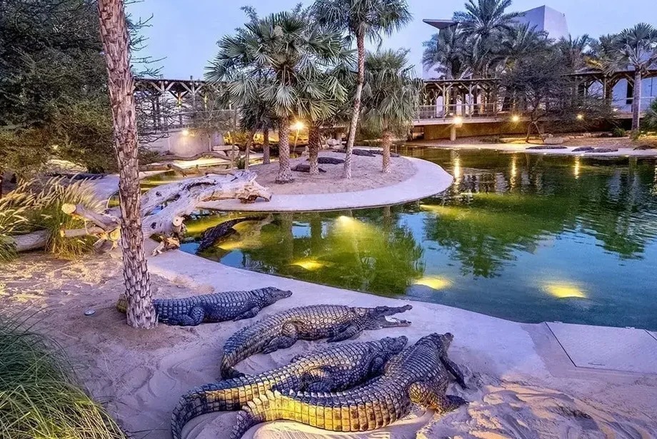 dubai-crocodile-park