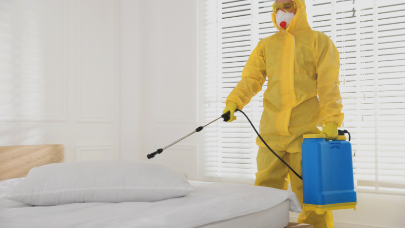 pest-control-service