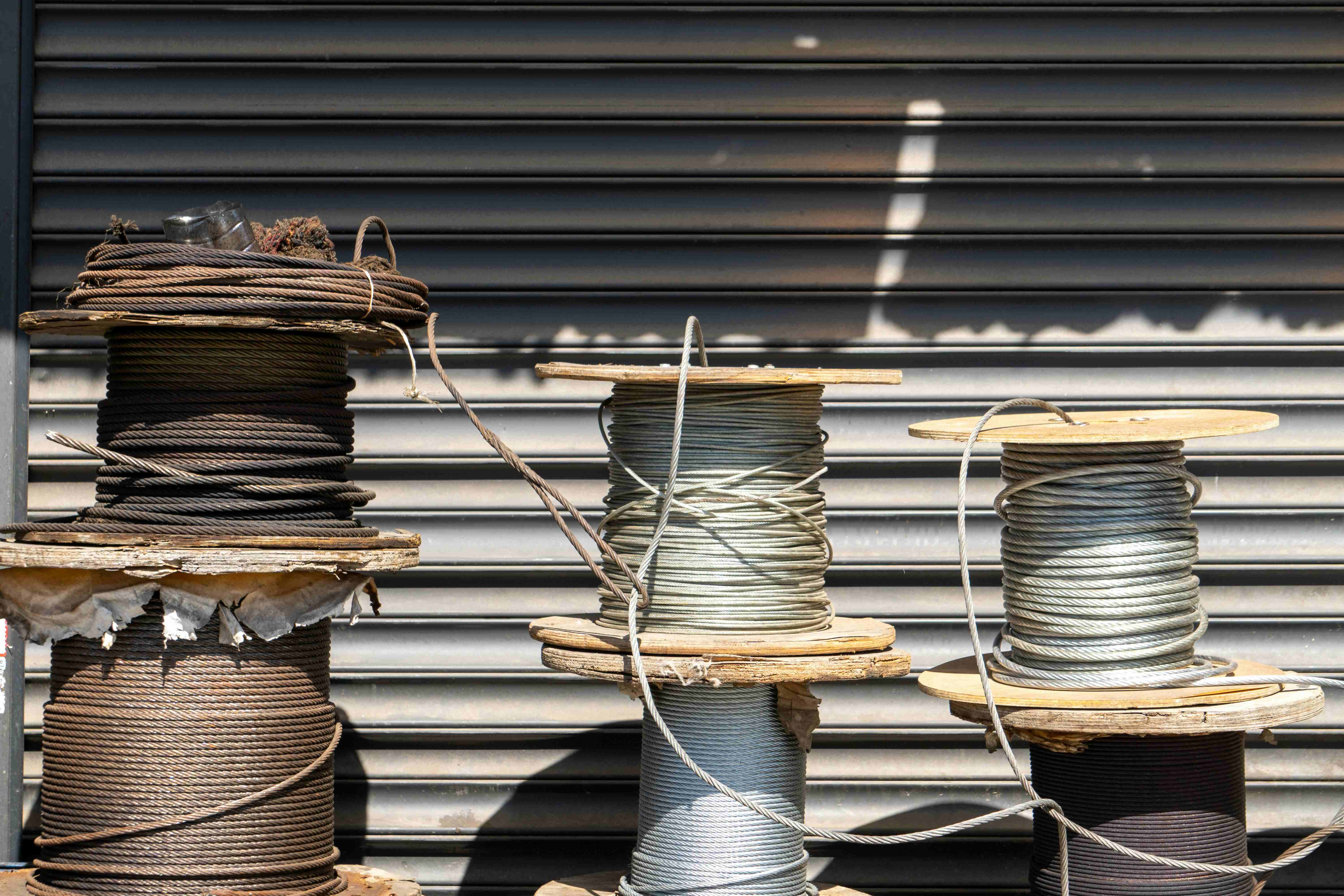 pexels-rootmastergod-29596327-1