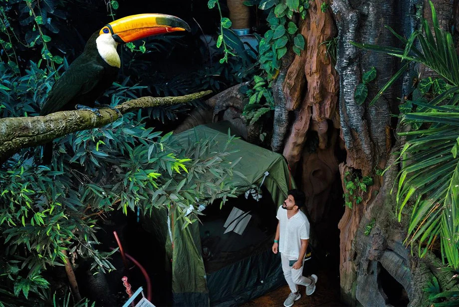 the-Green-Planet-Dubai-camping-adventure-in-the-rainforest