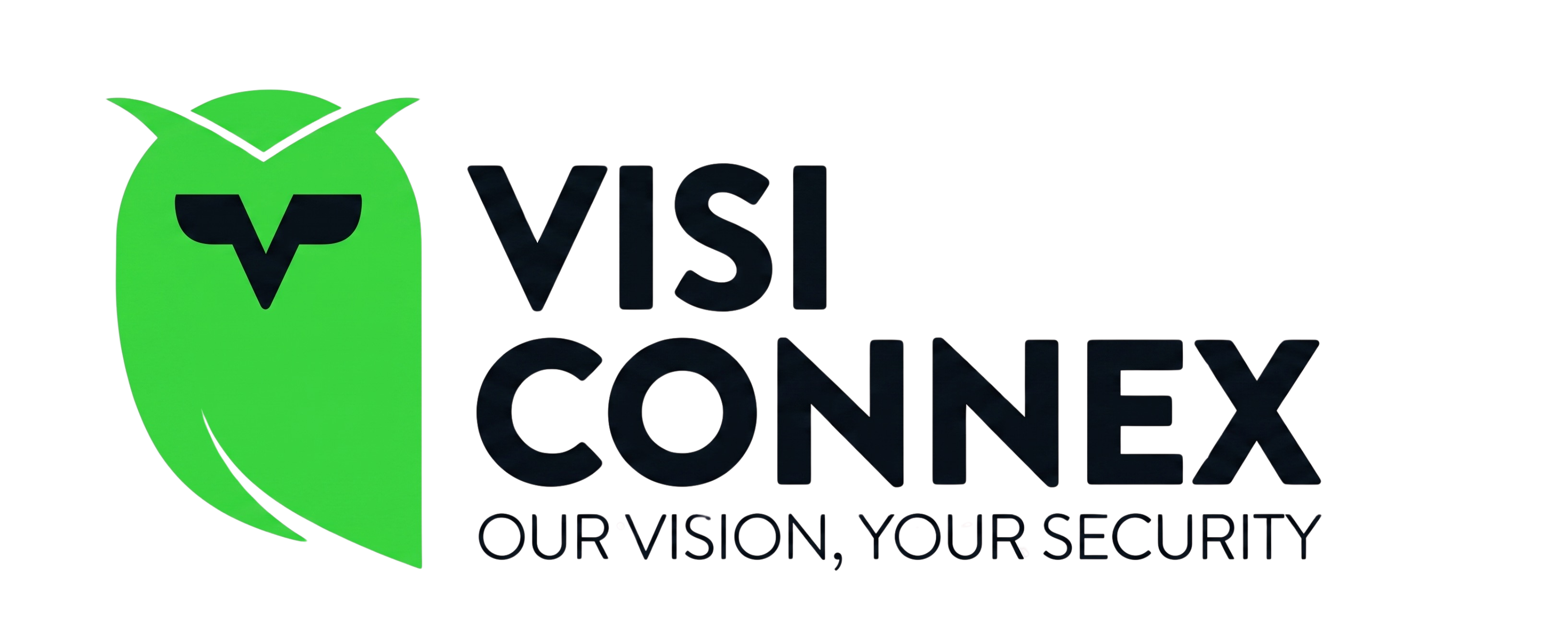 visi_logo_b