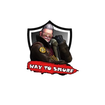 waytosmurf-LOGO