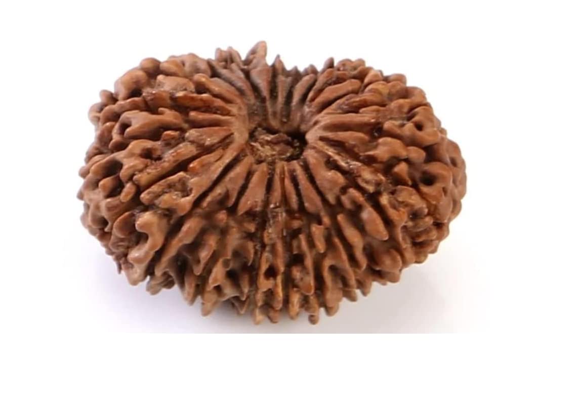 21-mukhi