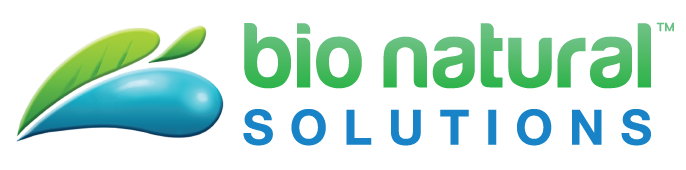 BNS-LOGO