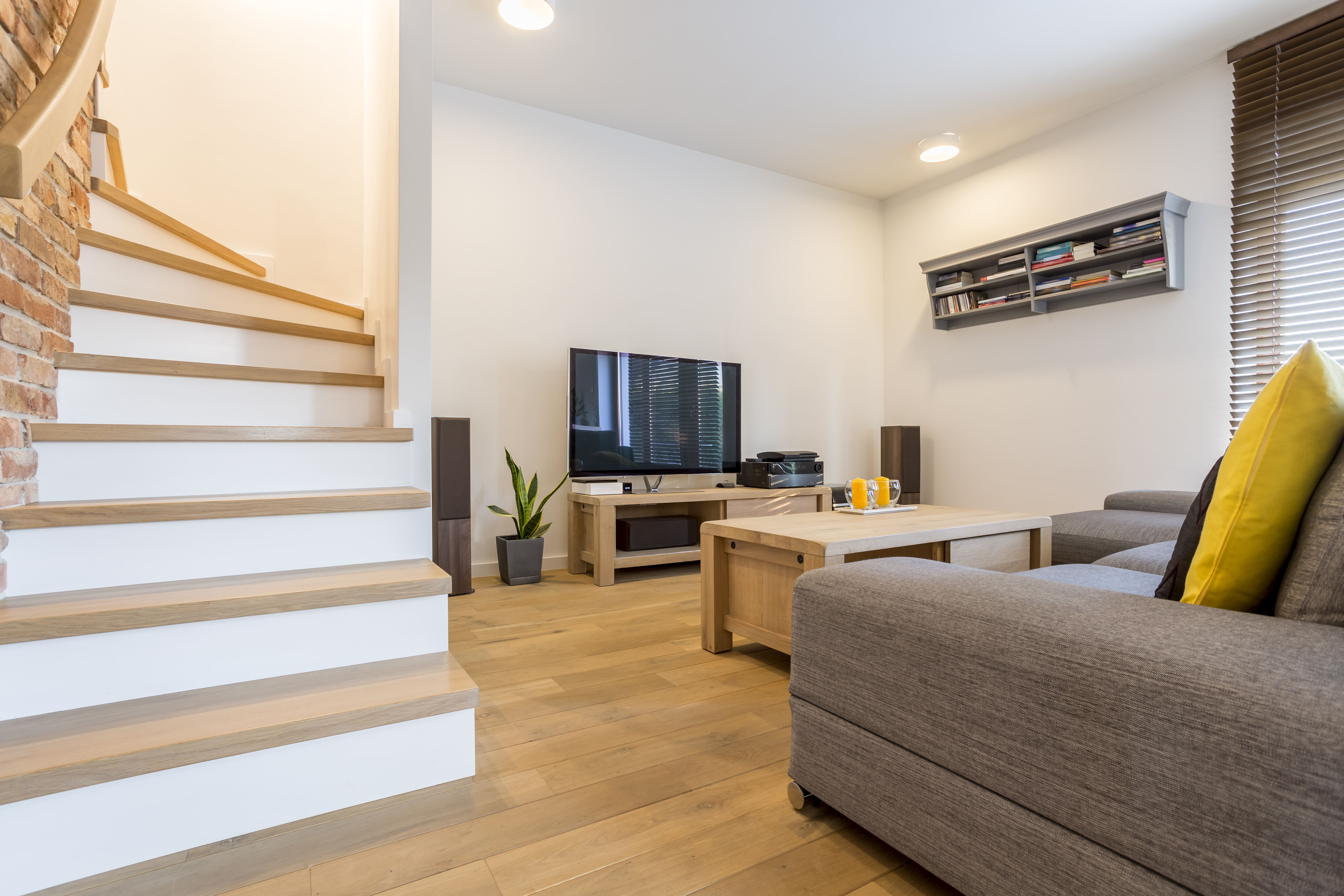 Basement-remodelling