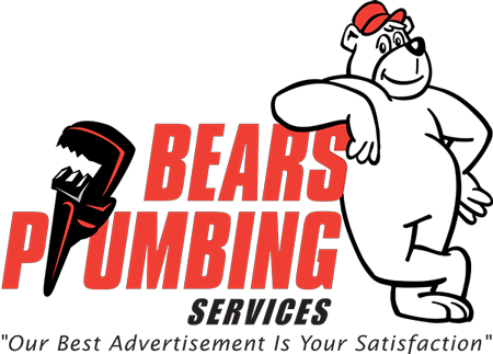 Bears