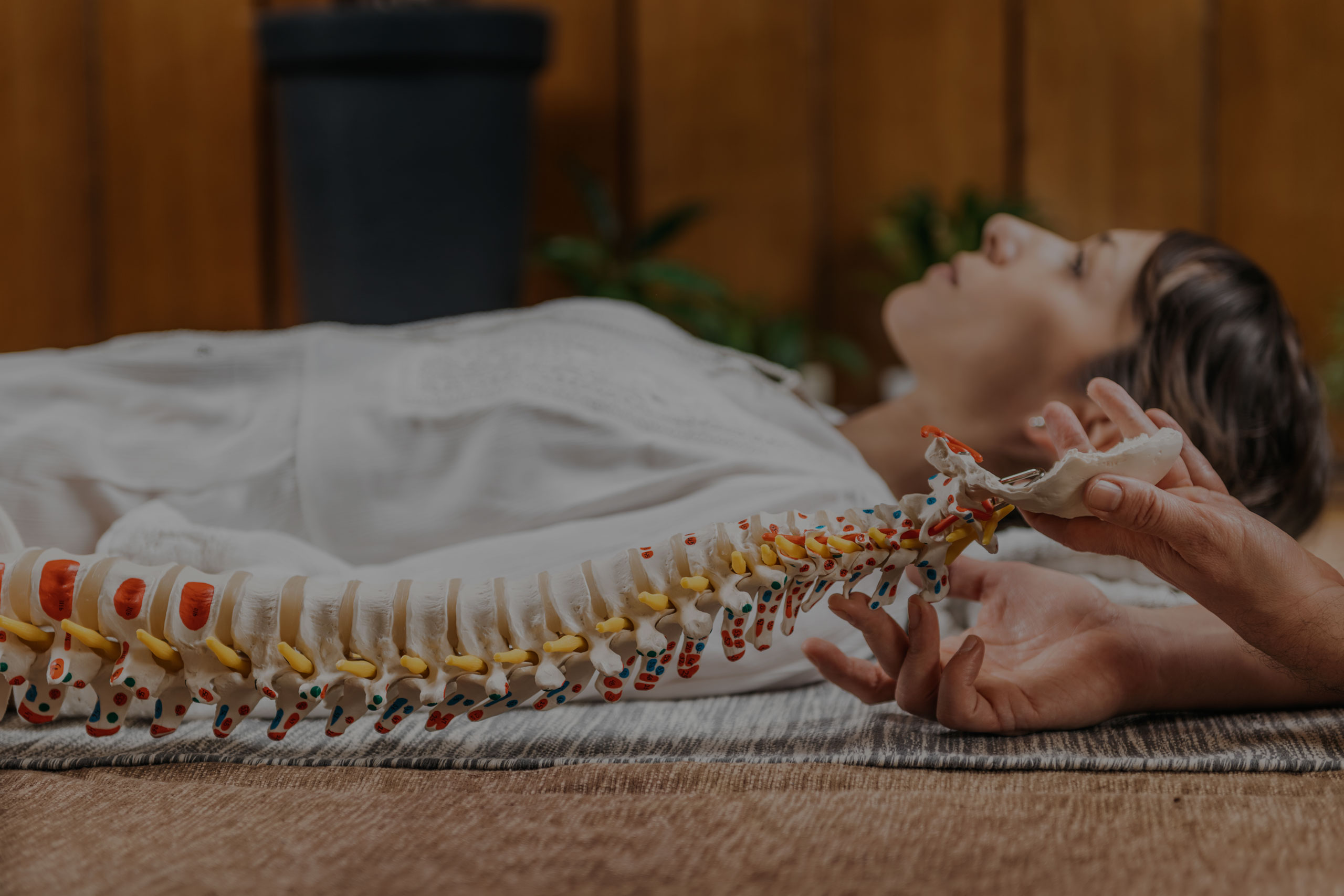 Best-Chiropractor