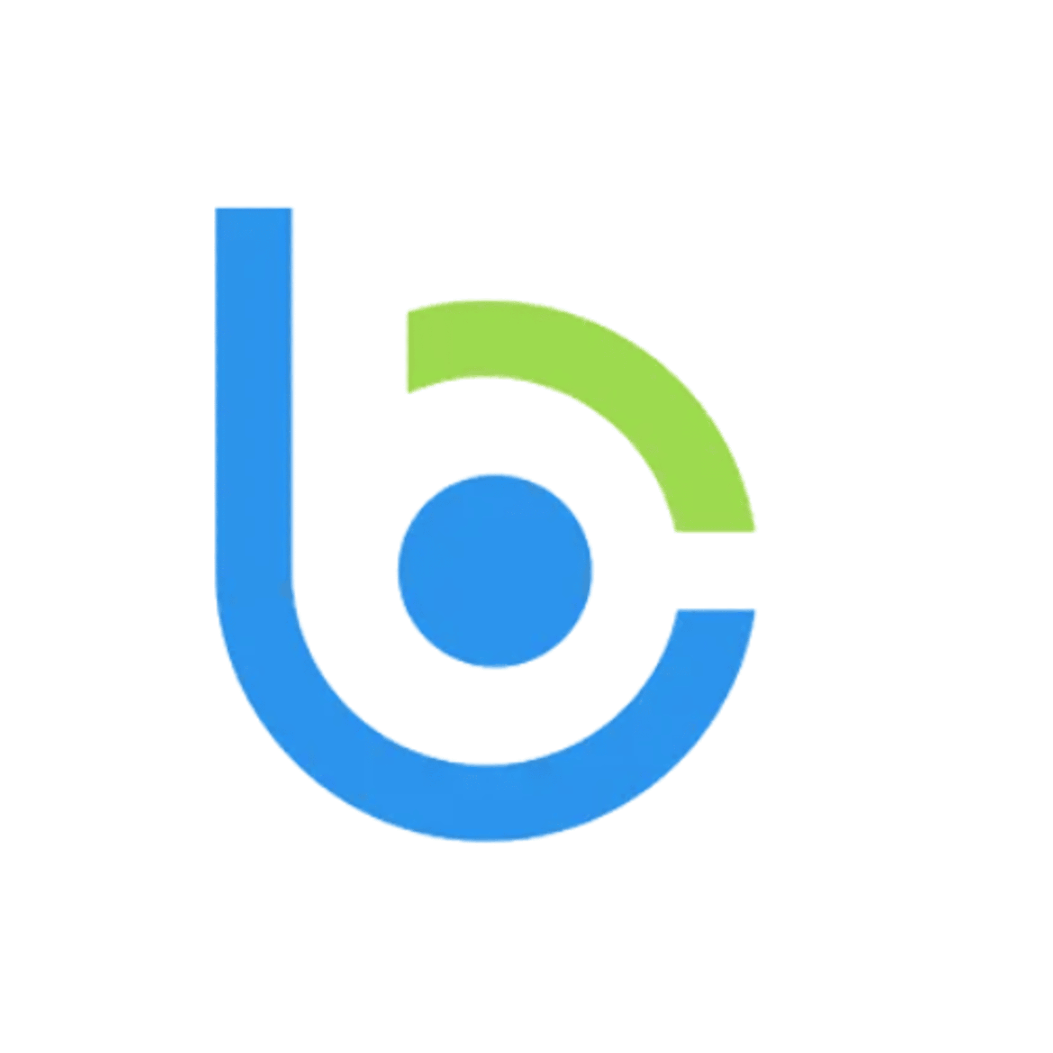 Bloom-CS-Logo-1