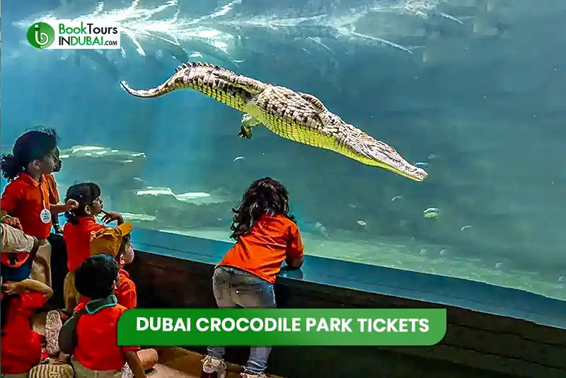Dubai-Crocodile-Park-Tickets-