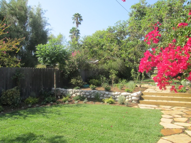 Image2