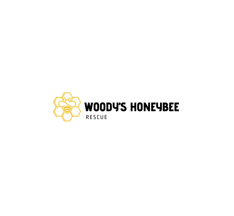 Logo-35