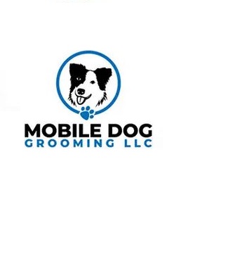Logo-8