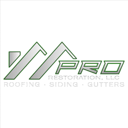 Logo-Pro-restoration-color
