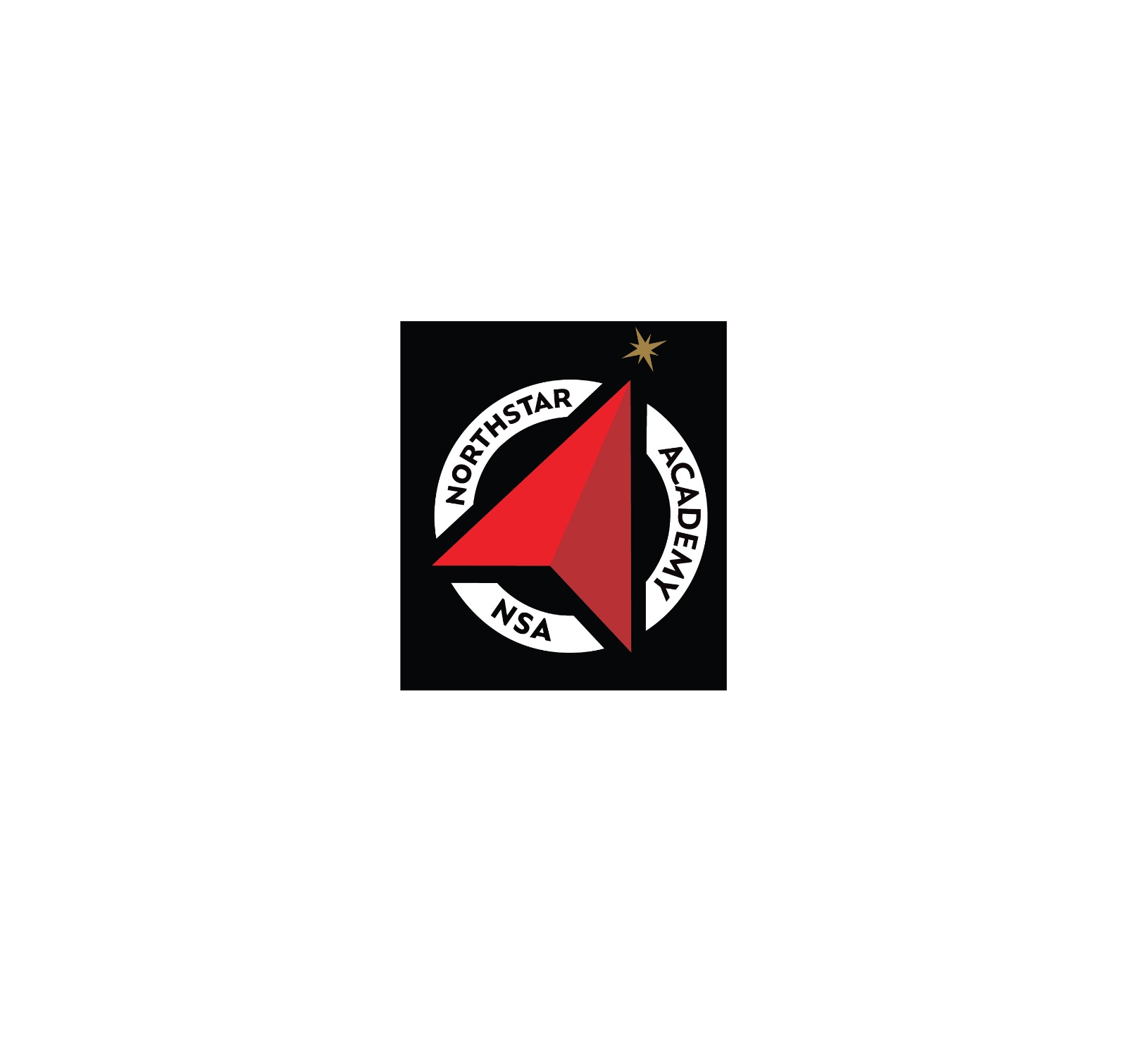 NSA-Logo-Doc
