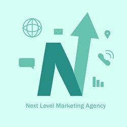Next-Level-Marketing-Agency-Logo-250