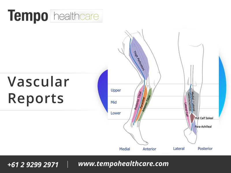 Vascular-Report