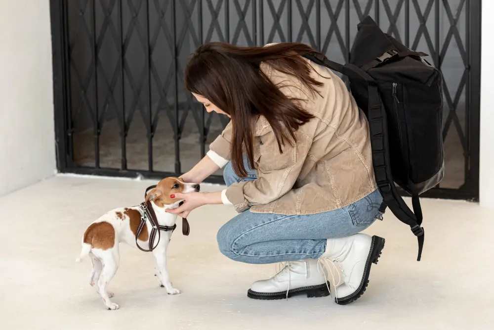 dog-boarding-trial-West-Palm-Beach