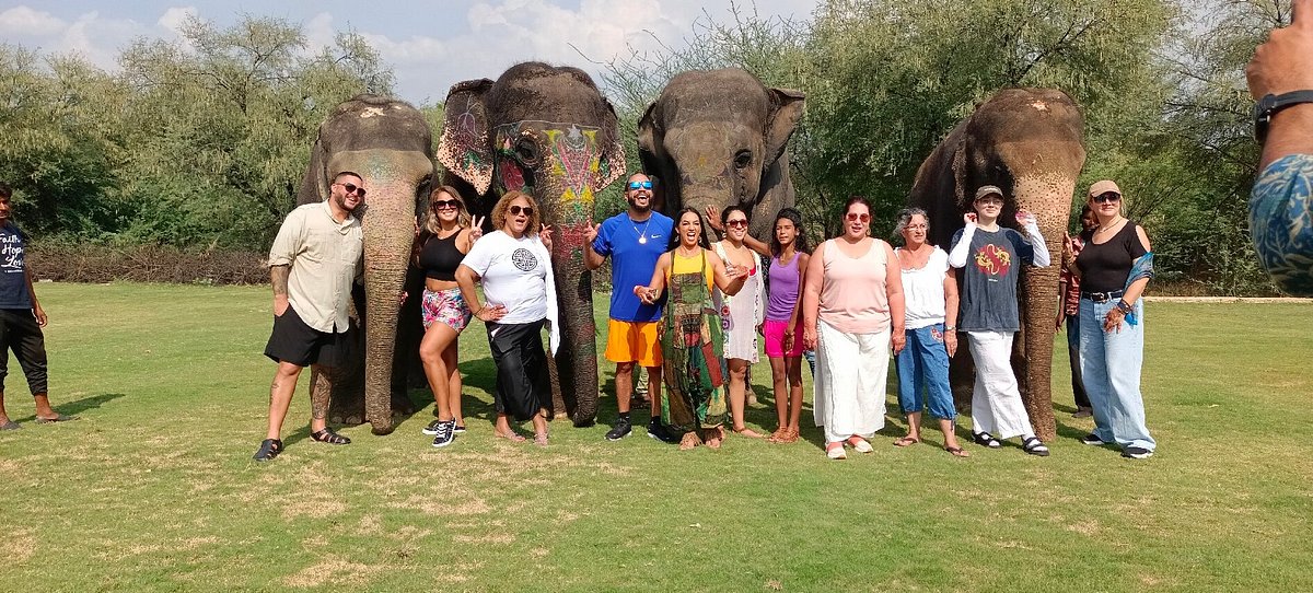 elephant-ride-1