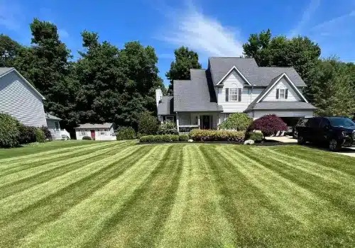 imgi_54_lawn-care-feature