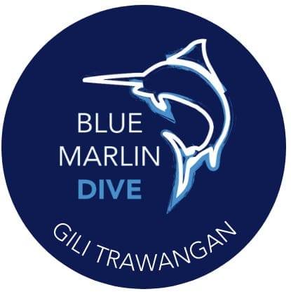 logo-58