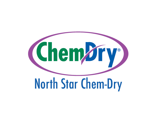 north-star-chem-dry-profile-1-1
