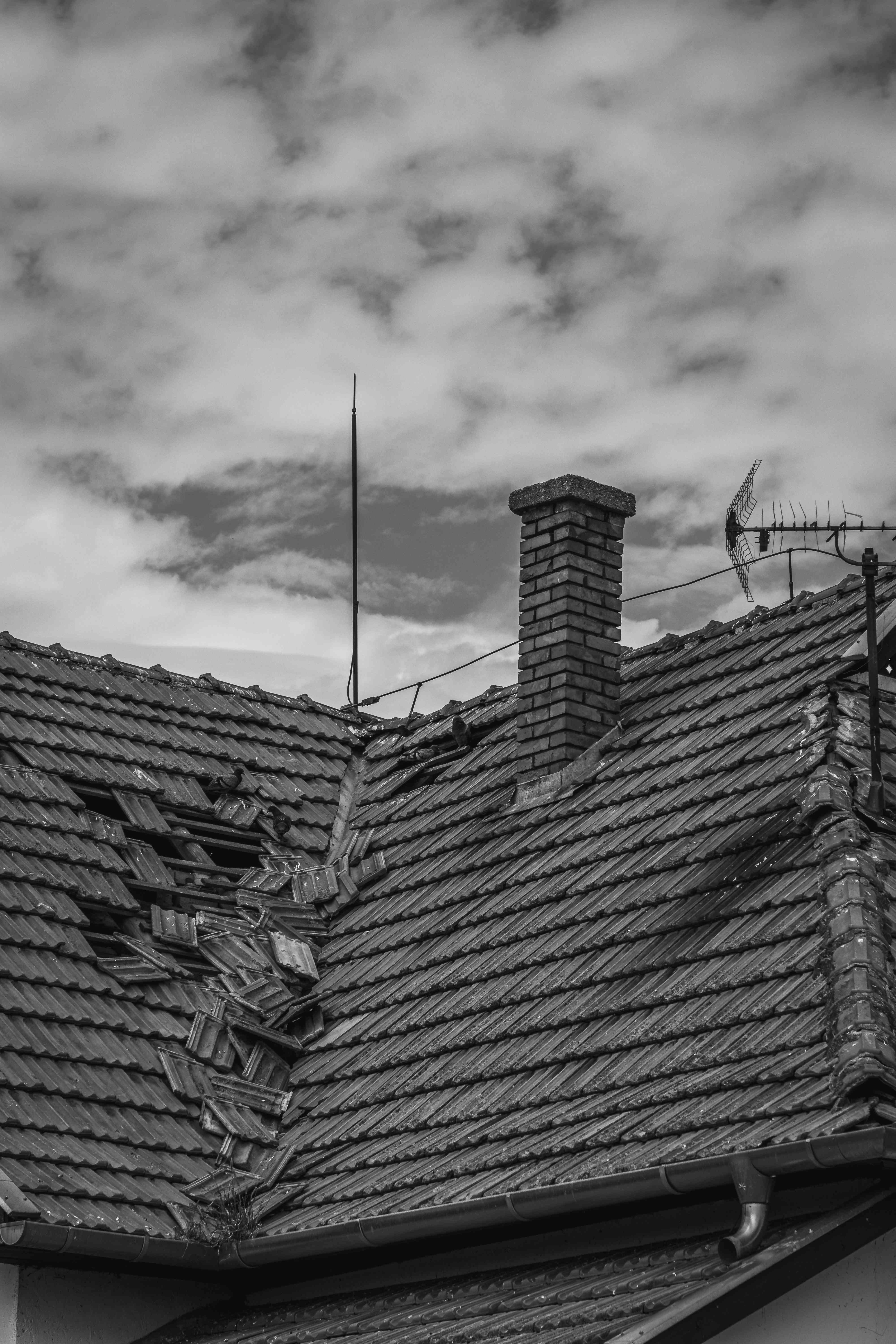 pexels-andreas-ebner-246992646-1