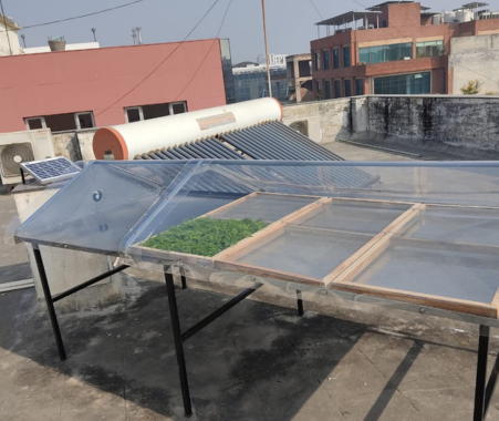 sahaj-solar-dehydrated-processor-food