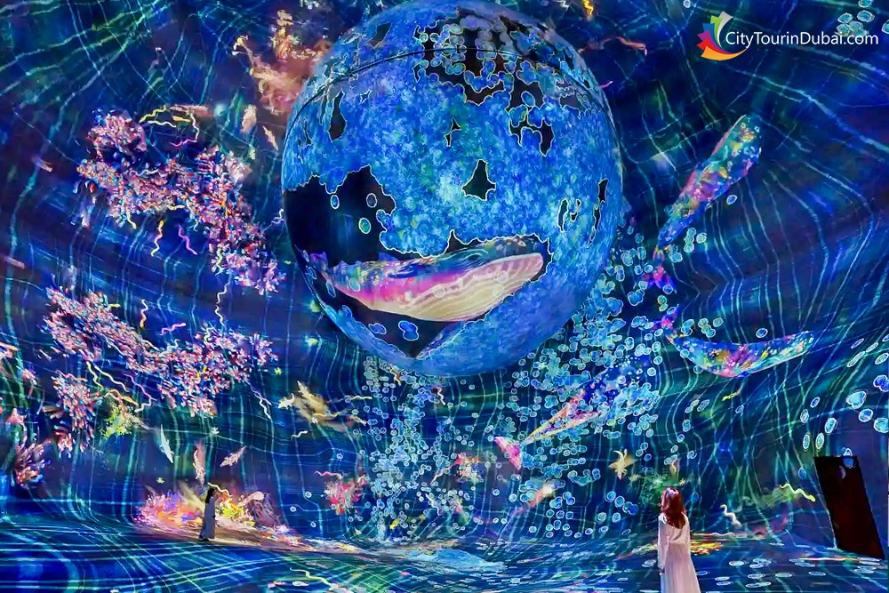 teamlab-phenomena-abu-dhabi-inside-interactive-experience