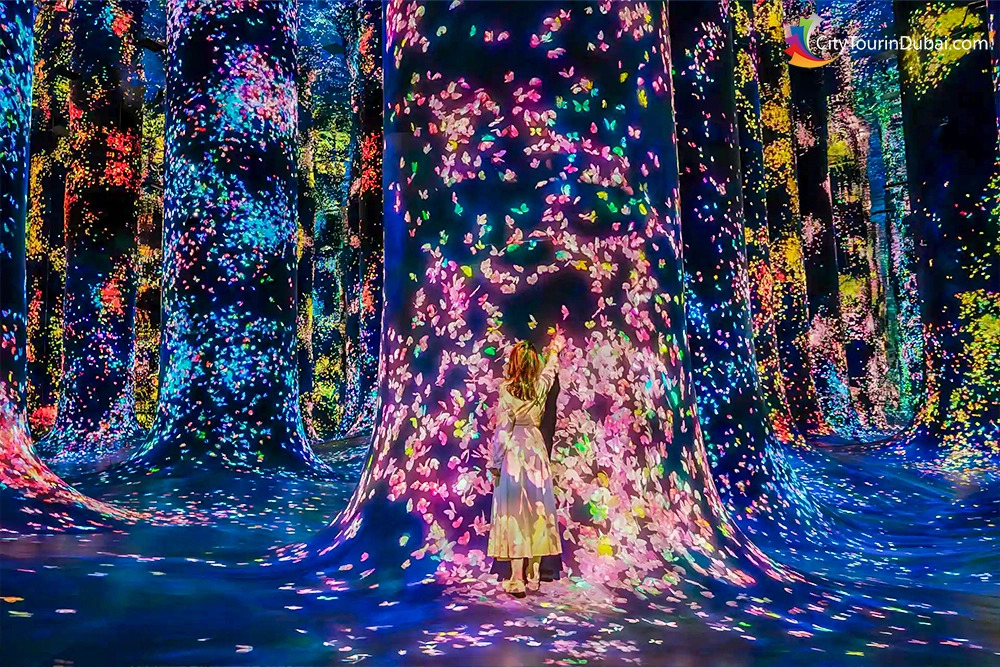 teamlab-phenomena-abu-dhabi-ticket-best-price